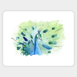 Watercolor Peacock Sticker